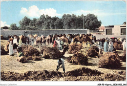 AGRP5-0363-ALGERIE - OUARGLA - Le Marché Aux Chaameaux - Ouargla