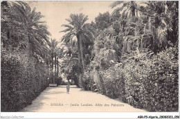 AGRP5-0358-ALGERIE - BISKRA - Jardin Landon - Allée  Des Palmiers - Biskra