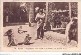 AGRP4-0325-ALGERIE - BLIDA - Gorges De La Chiffa Au Ruiseau Des Singes - Blida