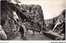 AGRP4-0313-ALGERIE - Gorges De Palestro - Caravane - Scenes
