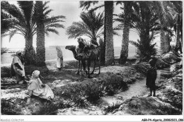 AGRP4-0289-ALGERIE - BISKRA - Dans L'oasis - Biskra