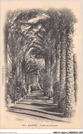 AGRP2-0102-ALGERIE - Etude De Palmier - Scenes