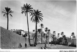 AGRP1-0008-ALGERIE - LAGHOUAT - Le Dala Vers Le Marabout Sidi Abdelkader - Laghouat