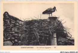 AGRP11-0806-ALGERIE - CONSTANTINE - Un Nid De Cigognes  - Constantine