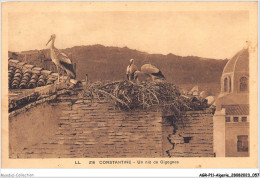 AGRP11-0804-ALGERIE - CONSTANTINE - Un Nid De Cigognes  - Konstantinopel