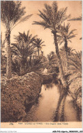 AGRP10-0753-ALGERIE - Scènes Et Types - Une Seguia Dans L'oasis  - Szenen