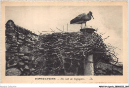 AGRP10-0745-ALGERIE - CONSTANTINE - Un Nid De Cigognes  - Constantine
