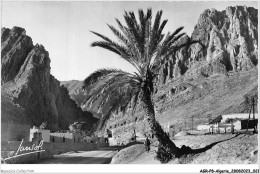 AGRP8-0563-ALGERIE - Paysage Du Sud - Szenen