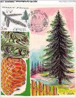 AGSP8-0549-CARTE MAXIMUM - ORLEANS 1985 - NATURE DE FRANCE - ARBRES - PICEA ABIES - Epicea - 1980-1989