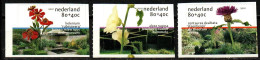 Niederlande 2001 - Mi.Nr. 1882 - 1884 - Postfrisch MNH - Blumen Flowers - Sonstige & Ohne Zuordnung