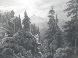 Original Print Engraving  Stahlstich Harz. Rehberg. - Rehberger Klippen & Achtermannshöhe  Deutschland - Prints & Engravings