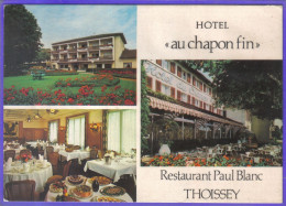 Carte Postale 01. Thoissey  Hotel Au Chapon Fin  Restaurant Paul Blanc  Très Beau Plan - Non Classificati