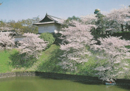 1 AK Japan * Chidori-ga-fuchi Park Mit Kirschblüten Am Kaiserpalast In Tokyo * - Tokyo