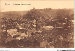 AGUP5-0374-BELGIQUE - DOLNAIN - Panorama Et Vue De Limbourg - Otros & Sin Clasificación