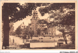 AGUP4-0331-BELGIQUE - Le Chateau De - NAMUR - Namur