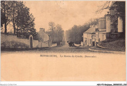 AGUP3-0152-BELGIQUE - BONSECOURS - La Route De Condé - Descente - Other & Unclassified