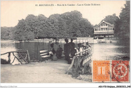 AGUP10-0833-BELGIQUE - BRUXELLES - Bois De La Cambre - Lac Et Chalet Robinson - Andere & Zonder Classificatie