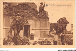 AGUP10-0818-BELGIQUE - BRUXELLES - Tombeau Du Soldat Inconnu - Monumenti, Edifici