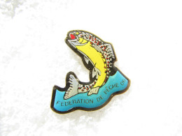 PIN'S    POISSON   FEDERATION DE PÊCHE  06 - Animali