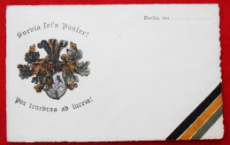 CPA Litho,1911 Berlin. Suevia Sei's Panier ! - Charlottenburg