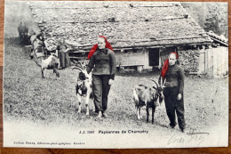 Paysannes De Champéry Avec Leurs Chèvres, 1906... Superbe ! - Champéry