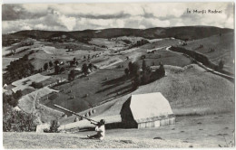 In The Rodnei Mountains - Rumänien