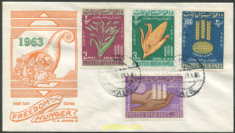 705171 MNH AFGANISTAN 1963 CAMPAÑA MUNDIAL CONTRA EL HAMBRE - Afganistán