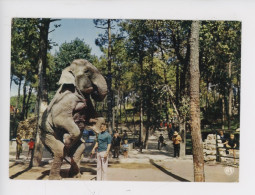 Eléphant - "Phi-Phi" L'éléphant Et Monsieur Caille Le Directeur Du Zoo De La Palmyre (17) Cp N°23 Artaud - Elefanten