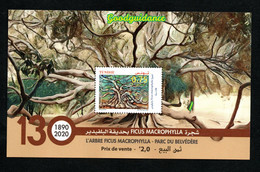 2020- Tunisie - 130 Ans De L’arbre Ficus Macrophylla - Parc Du Belvédère (arbre Tarzan)- Bloc Non Perforé.MNH** - Tunisia