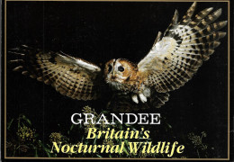 CH77 - ALBUM GRANDEE - BRITAINS NOCTURNAL WILDLIFE - COMPLET - Sammelbilderalben & Katalogue
