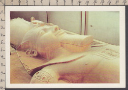 130731GF/ MEMPHIS, Rameses II - Altri & Non Classificati