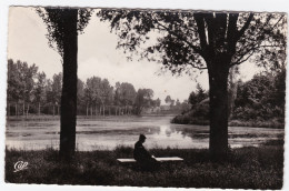 Péronne - L'Etang Du Cam - Peronne