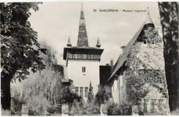 Sfîntu-Gheorghe - Regional Museum - Roumanie