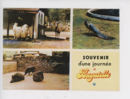 Souvenir D'une Journée à(chèvre Paon Sanglier.....multivues N Bagatelle : Promenade à Cheval (n°301) Cp Vierge (chevaux) - Other & Unclassified