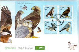 IRELAND  FDC  Birds Of Prey   /  IRLANDE  Rapaces, Lettre De Première Jour,  2010 - Arends & Roofvogels