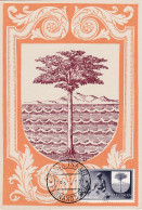 Carte Maximum Guinea Espanola Guinée Espagnole 1957 - Spanish Guinea