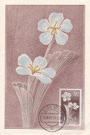 Carte Maximum IFNI 1957 Fleur Flower - Ifni