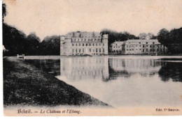 Beloeil Le Chateau Et L Etang - Belöil