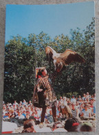 85 Vendée CPM Les Epesses Grand Parcours Du Puy Du Fou Spectacle De Fauconnerie Rapace - Otros & Sin Clasificación