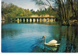 Le Quesnoy - L'Etang - Le Quesnoy