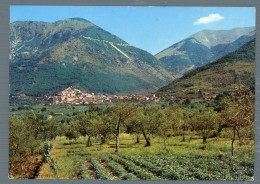 °°° Cartolina - S. Donato Val Di Comino Panorama - Nuova °°° - Frosinone