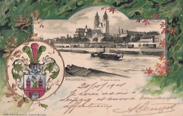 MAGDEBURG                          ELBPANORAMA       ECUSSON EN RELIEF    PRECURSEUR + TIMBRES - Magdeburg