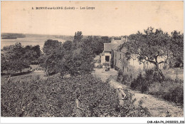 CAR-ABAP4-45-0309 - BONNY-sur-LOIRE - Les Loups - Otros & Sin Clasificación