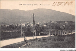 CAR-ABAP3-42-0293 - PELUSSIN - Vue Générale - Pelussin