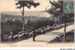 CAR-ABAP1-14-0059 - HOULGATE - La Route De Villers Et Vue Sur Houlgate - Houlgate