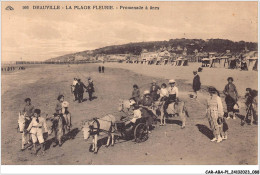 CAR-ABAP1-14-0045 - DEAUVILLE - La Plage Fleurie - Promenade à ânes - Deauville