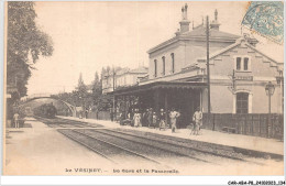 CAR-ABAP8-78-0765 - LE VESINET - La Gare Et La Passerelle - Le Vésinet