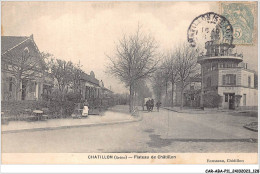 CAR-ABAP11-92-1071 - CHATILLON - Plateau De Châtillon - Châtillon
