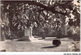 CAR-ABAP11-92-1058 - CHATILLON - Seine - Le Square Et Le Monument Aux Morts - Châtillon