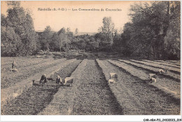 CAR-ABAP11-91-1014 - MEREVILLE - Les Cressonnières De Courcelles - Mereville